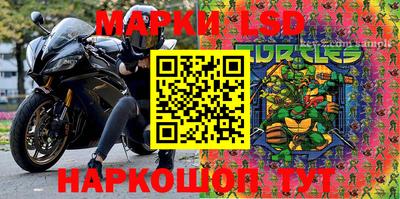 прущие грибы Гудермес