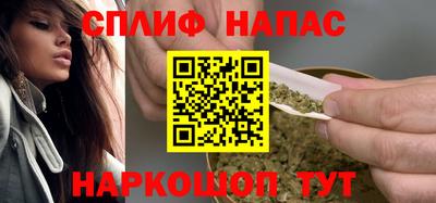 прущие грибы Гудермес