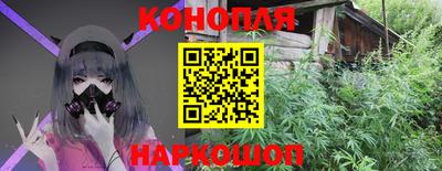 прущие грибы Гудермес