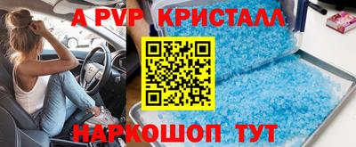 прущие грибы Гудермес