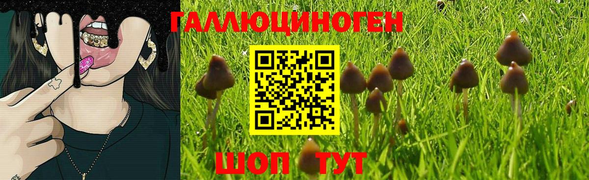 Псилоцибиновые грибы Magic Shrooms Владикавказ