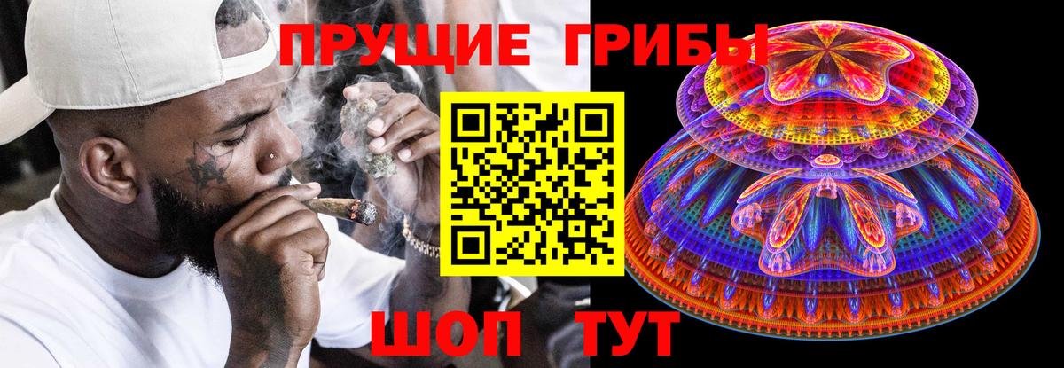 где купить наркотик  Вход с VPN  Владикавказ  Галлюциногенные грибы мухоморы 