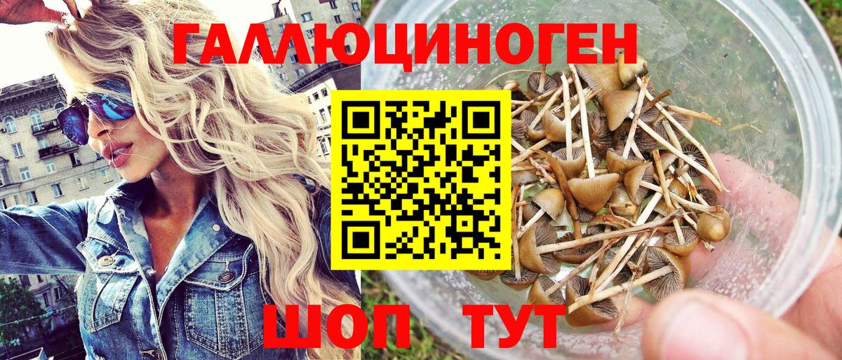 ГАШ Владикавказ